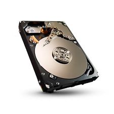 Seagate Savvio 10K.6 9WH066-150 900GB 10K RPM SAS 6Gb/S 2.5inch HDD Refurbished Dell OEM